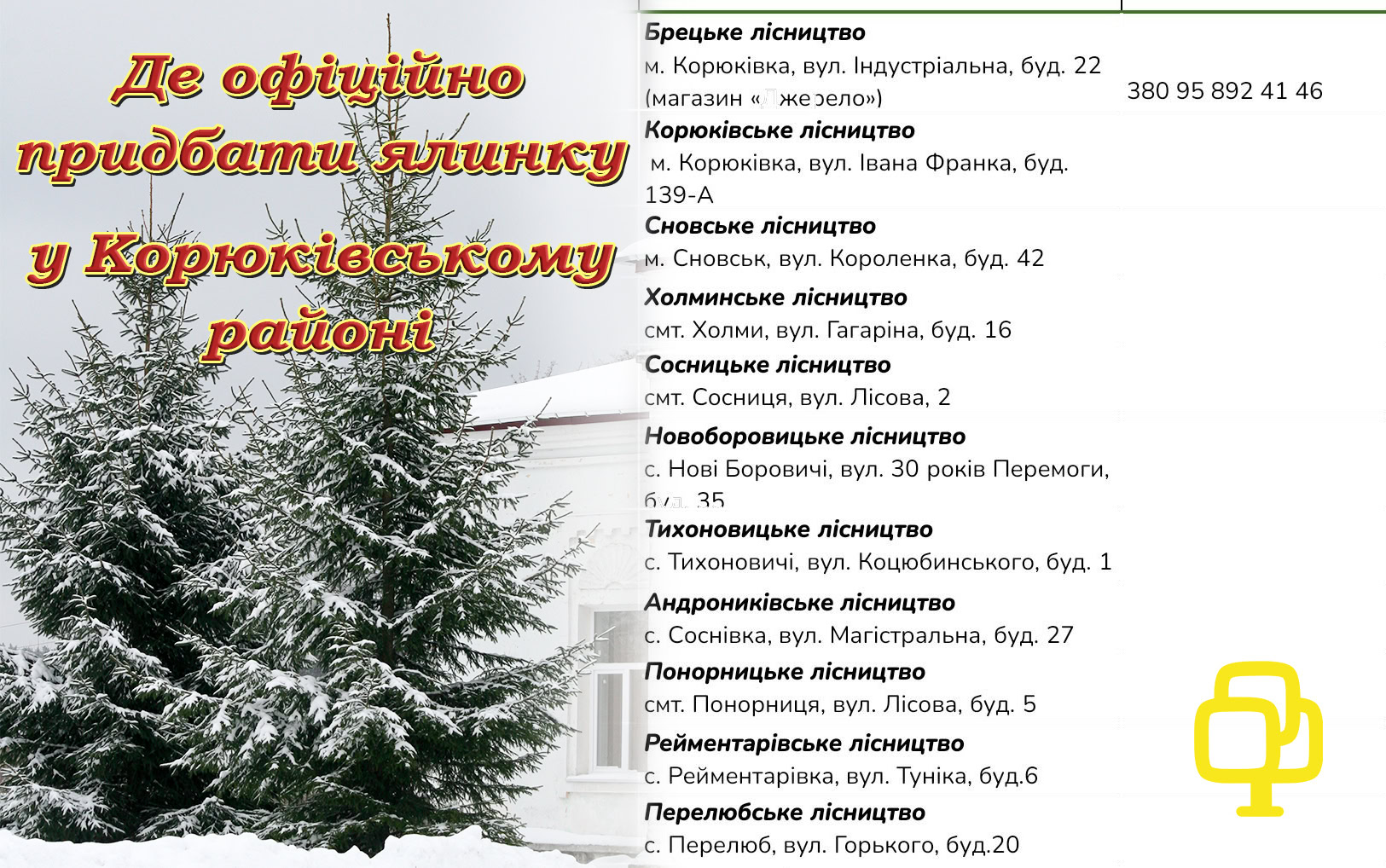 Де у Корюківському районі можна офіційно купити ялинки?