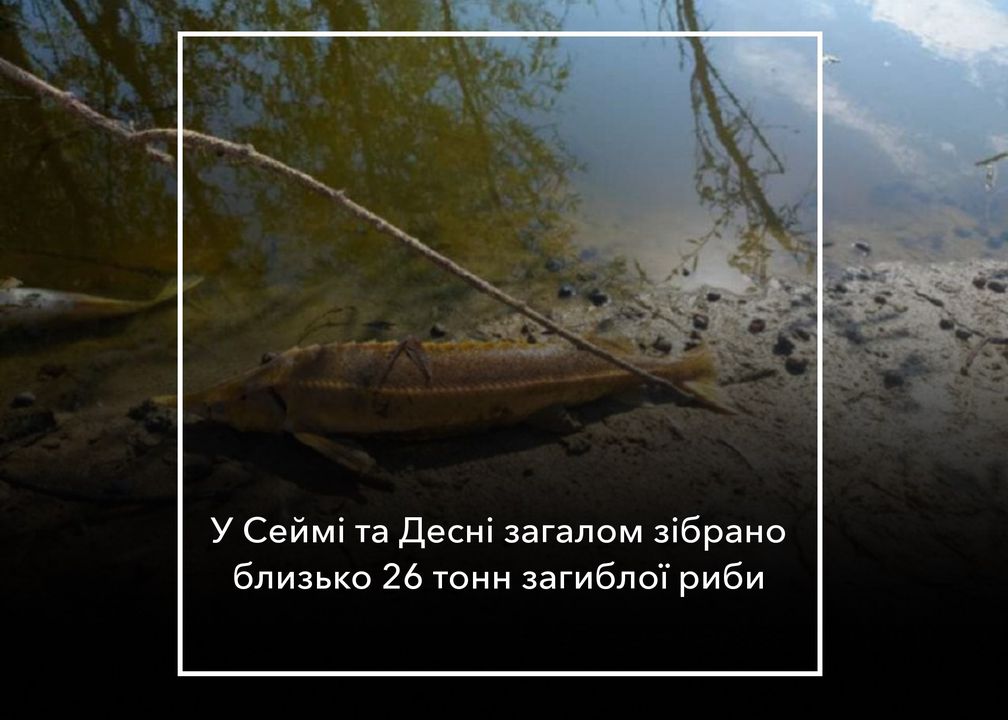 Міндовкілля: &ldquo;У річках перевищень екологічних нормативів якості за вмістом пестицидів, поліароматичних вуглеводнів, летких органічних сполук, а також важких металів не виявлено&rdquo;