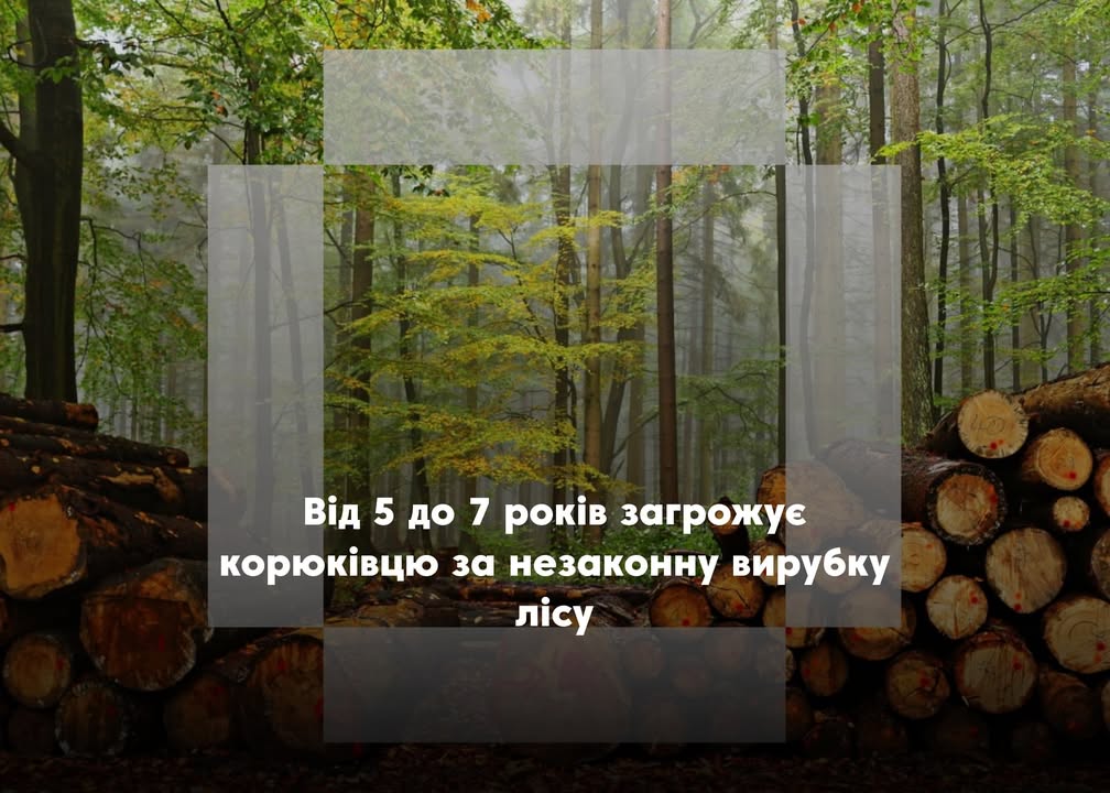 Зрубав ліс &ndash; заплатить ціною свободи: судитимуть корюківця за незаконну порубку дерев