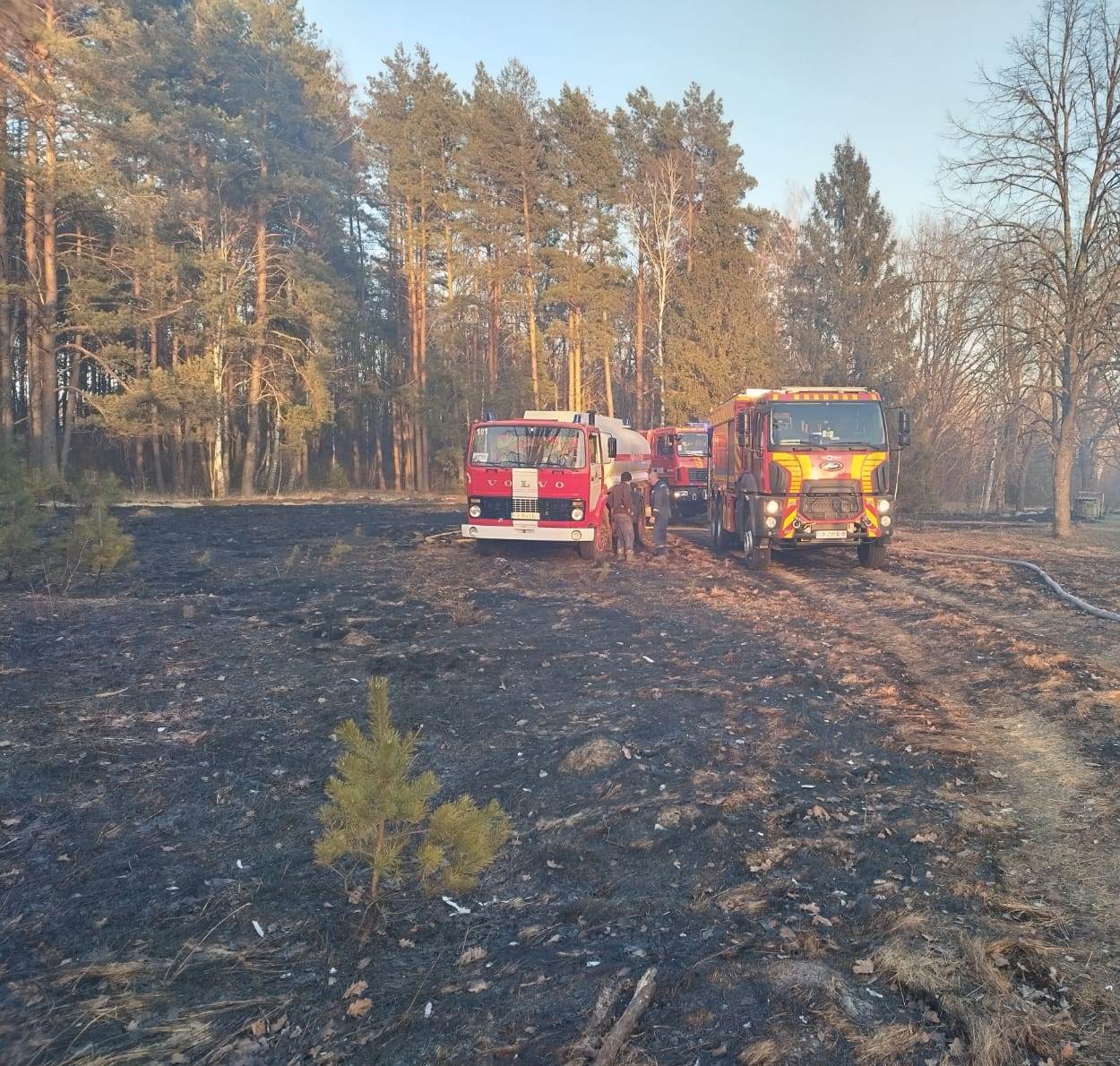 Через спалювання сухостою згоріли два будинки