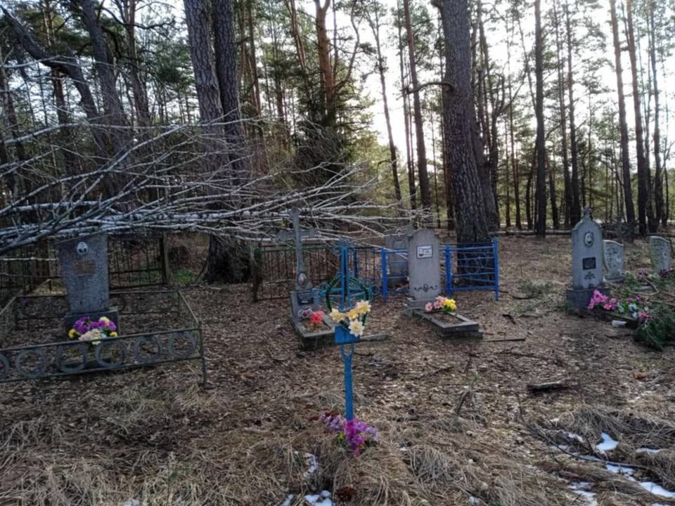 ПОВІДОМЛЕННЯ ЧИТАЧА. “Щоб дійти до місця поховання, треба було 4 години розчищати дорогу”