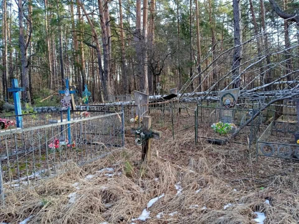 ПОВІДОМЛЕННЯ ЧИТАЧА. “Щоб дійти до місця поховання, треба було 4 години розчищати дорогу”