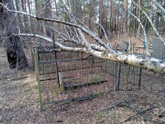 ПОВІДОМЛЕННЯ ЧИТАЧА. “Щоб дійти до місця поховання, треба було 4 години розчищати дорогу”