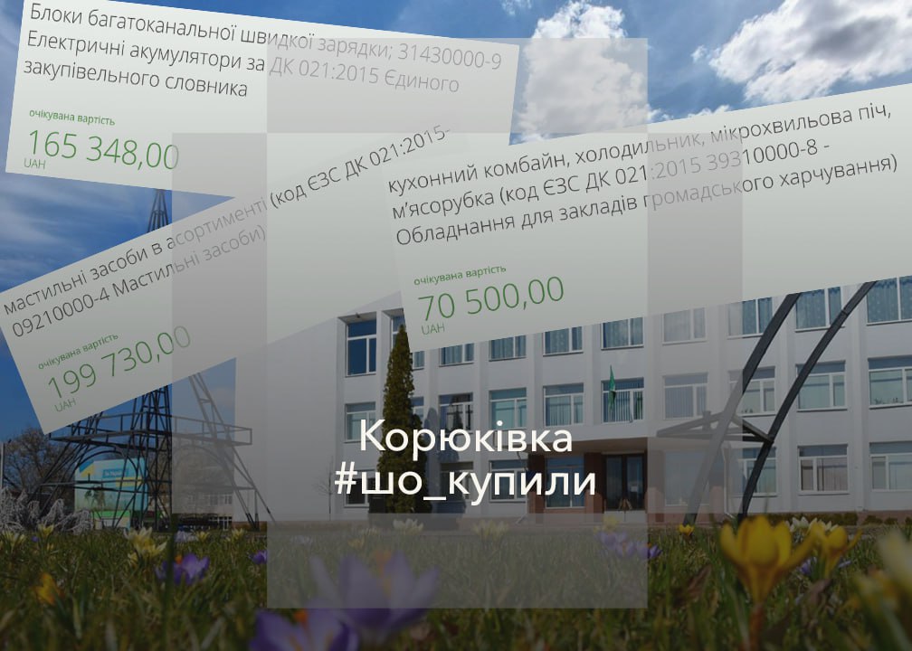 #шо_купили, Гібридний інвертор за 232 000 гривень. Що ще замовляли у березні 2025-го року в Корюківці?