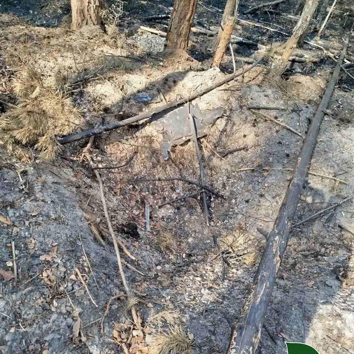 Лісова пожежа в Рейментарівському лісництві внаслідок обстрілу