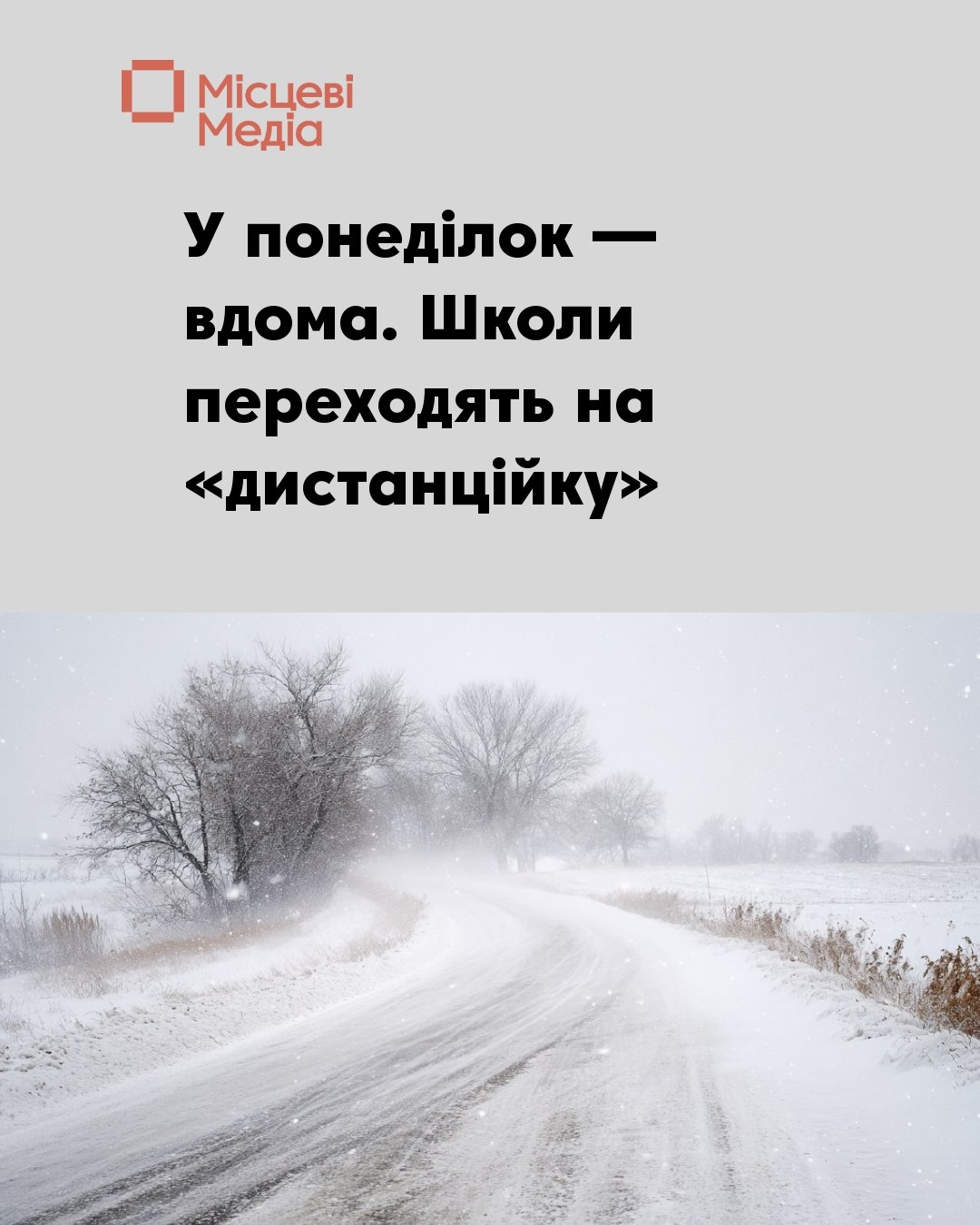 Навчання перевели в онлайн через погоду та проблеми з доїздом