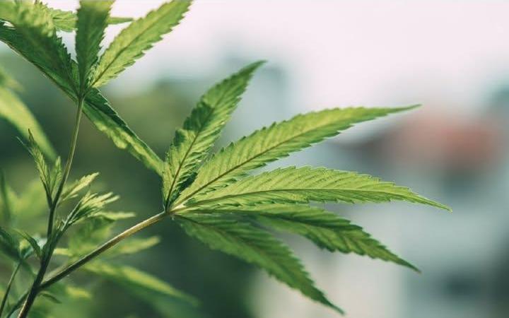 Жителя Корюківки судитимуть за продаж наркотиків