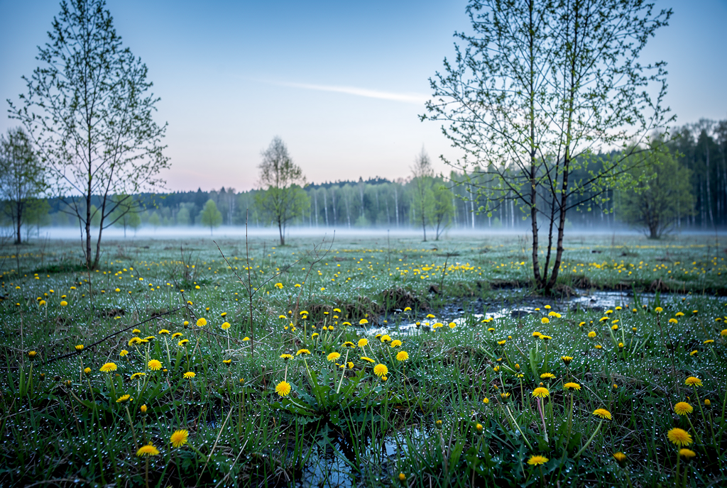 Погода у Корюківці на 20.04.2026