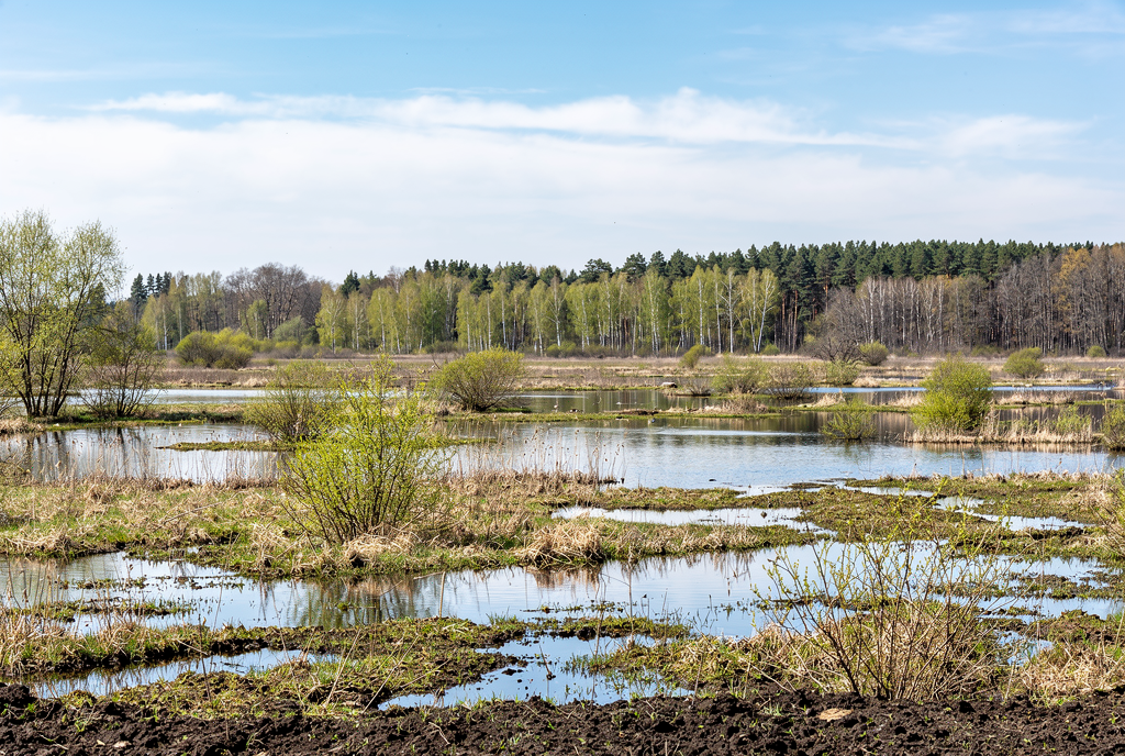 Погода у Корюківці на 25.04.2026