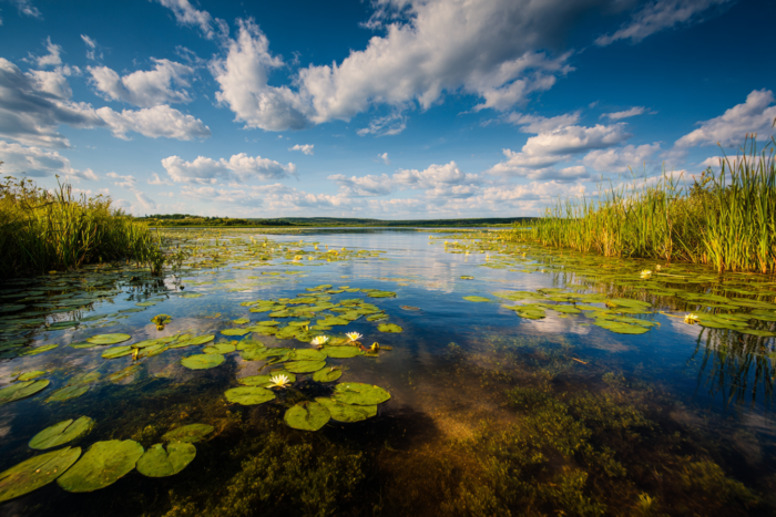 Погода у Корюківці на 07.06.2026