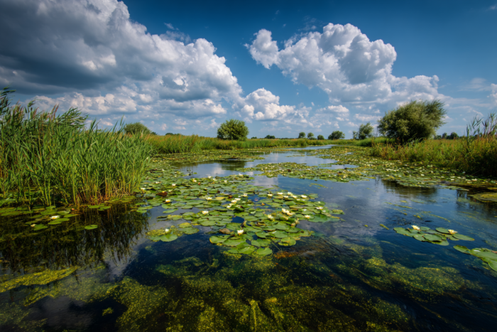 Погода у Корюківці на 04.07.2026