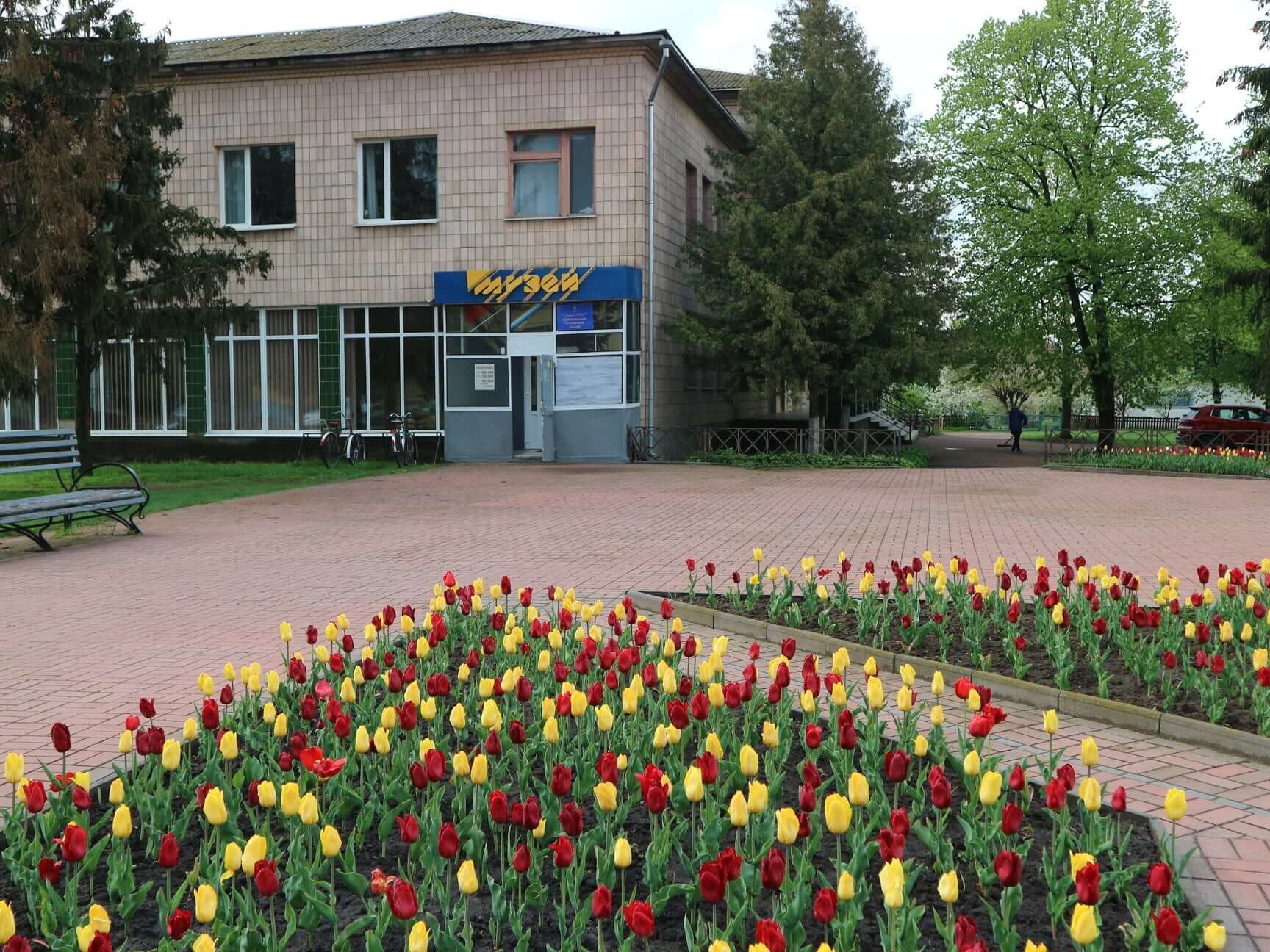 Зошит і дві кімнати: як Галина Костюк зробила з корюківської памʼяті музей